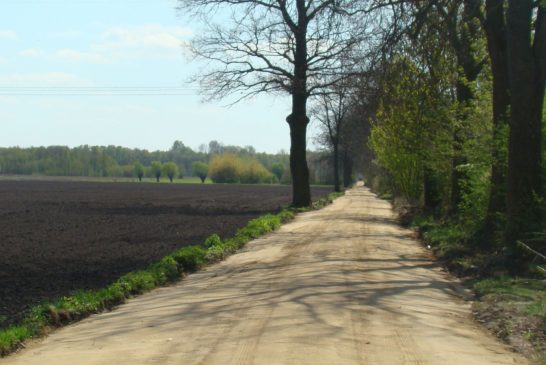 Droga gminna Dębówka po zakończeniu prac zd. nr. 9