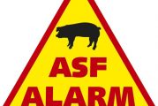 Informacja dotycząca afrykańskiego pomoru świń (ASF)