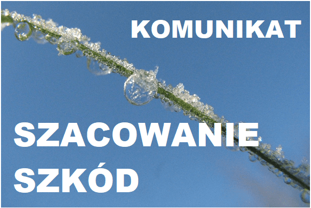 Szacowanie szkód spowodowanych przymrozkami