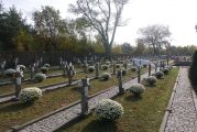 Złożyliśmy wniosek o dofinansowanie na kolejny zakres prac na cmentarzu w Juliopolu