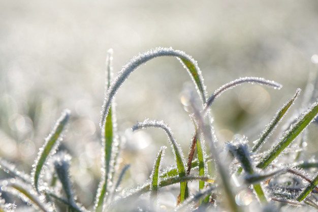 Komunikat meteorologiczny IMGW- przymrozki