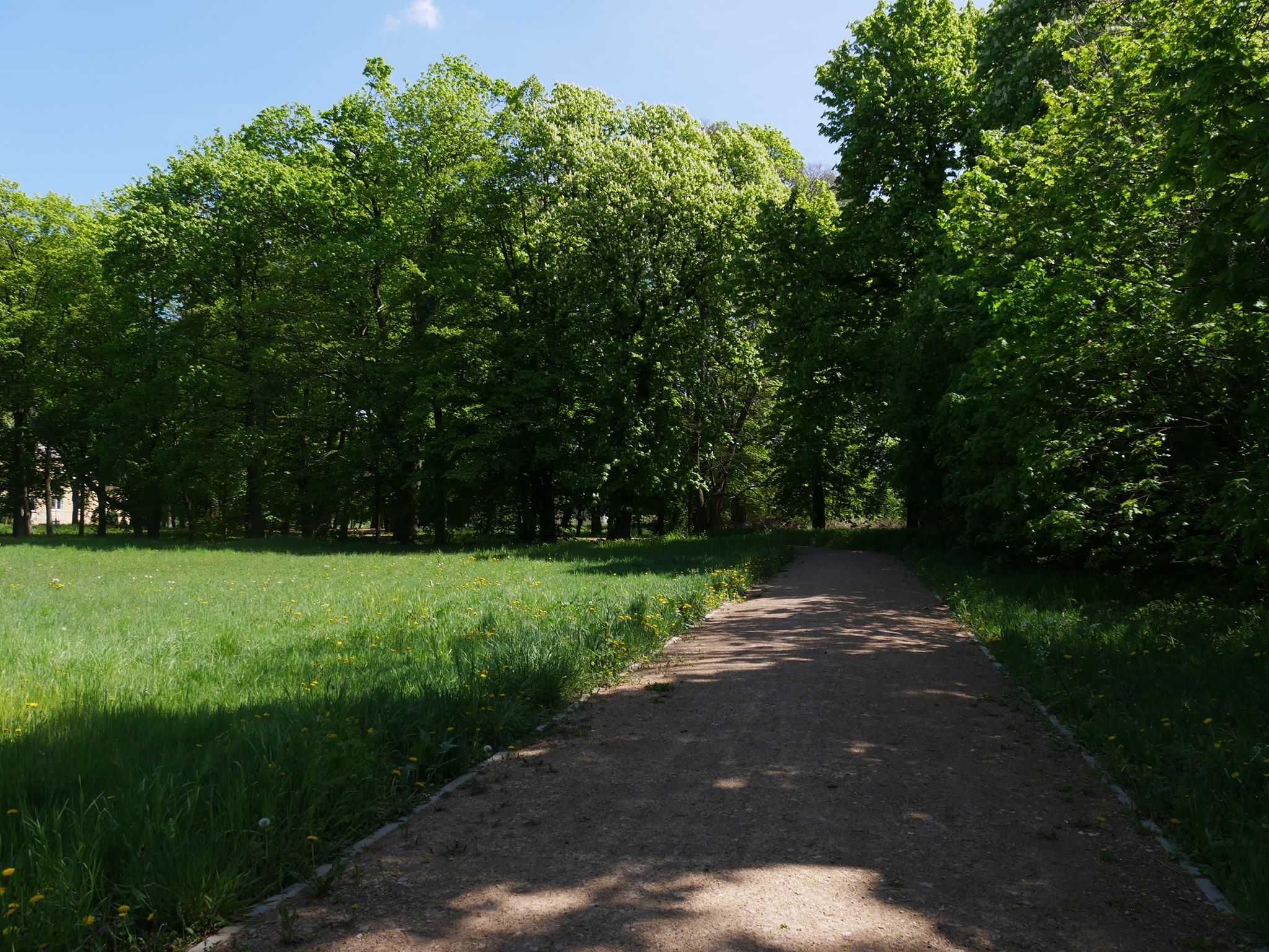 70 000 zł dotacji na II etap prac renowacyjnych Zabytkowego Parku w Młodzieszynie