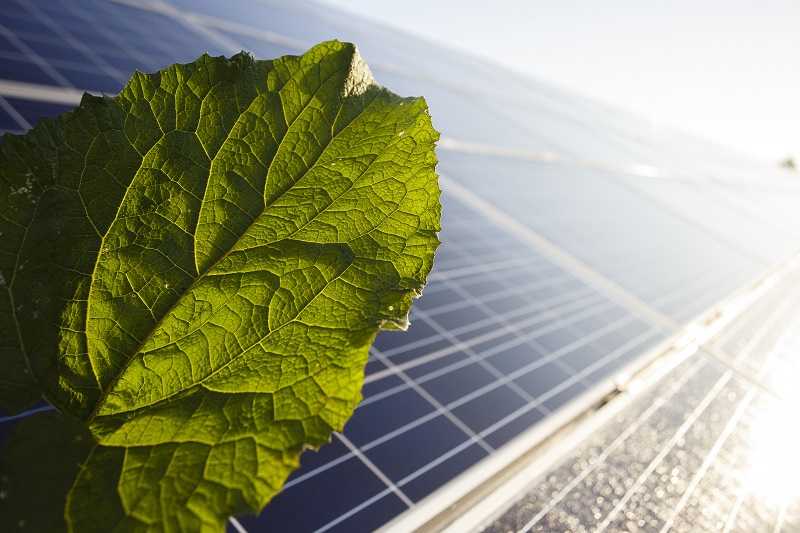 Program dofinansowania mikroinstalacji fotowoltaicznych - informacje