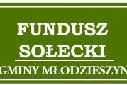 Sołectwa gminy Młodzieszyn rozdysponowały blisko 400 tys. zł.