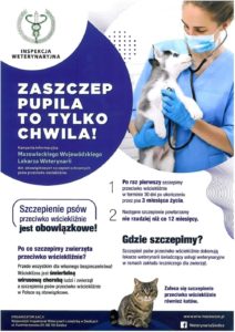 Obowiązkowe szczepienia psów przeciwko wściekliźnie