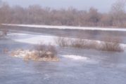 Stan wody na rzece Wiśle w dniu 18 lutego 2021 r. na godzinę 12:00
