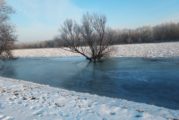 Stan wody na rzece Wiśle w dniu 16 lutego 2021 r.
