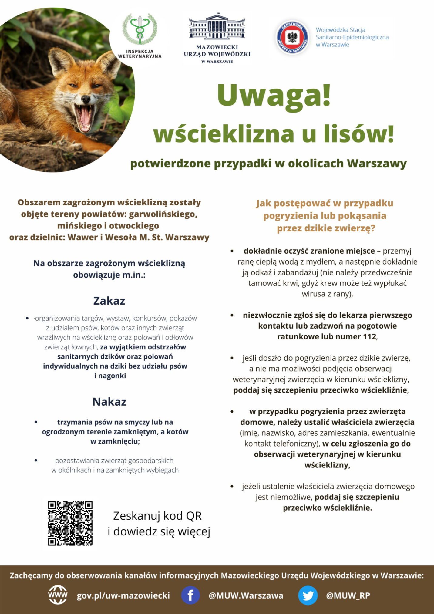 Kolejne przypadki wścieklizny u lisów wolno żyjących na terenie województwa mazowieckiego