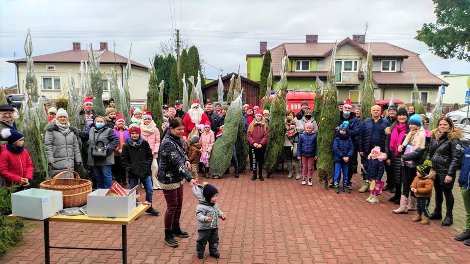 Mieszkańcy wybrali swoje świąteczne drzewka