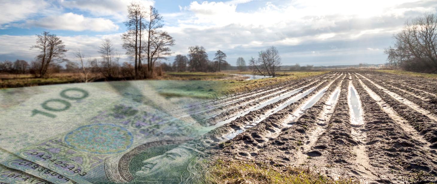 Dopłaty bezpośrednie i obszarowe z PROW: coraz mniej czasu na złożenie wniosku
