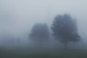 Ostrzeżenie IMGW - gęsta mgła