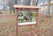 Ścieżka edukacyjna i nowe nasadzenia w parku w Młodzieszynie