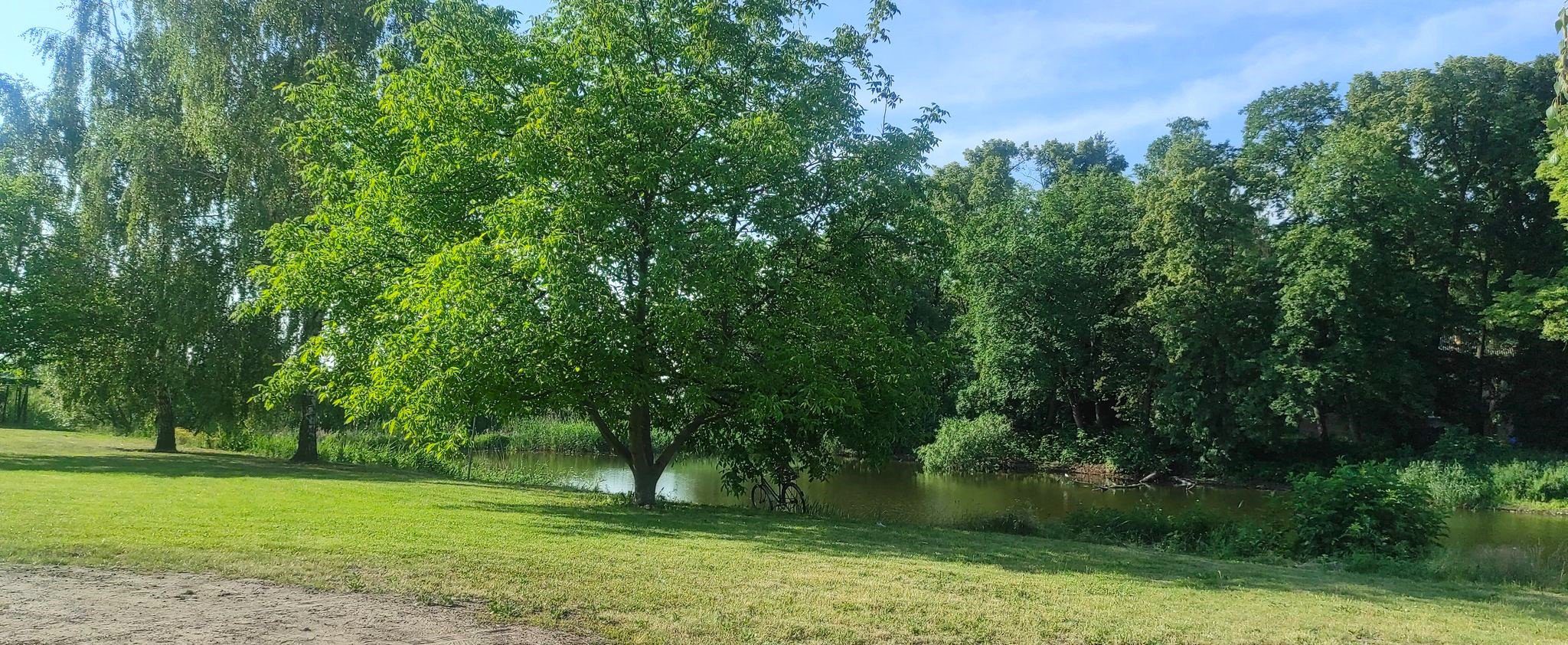 Nowe ścieżki edukacyjno-przyrodnicze w gminie Młodzieszyn