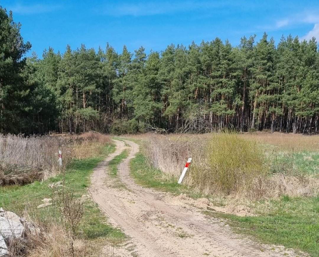 280 tys. zł. na przebudowę dróg w gminie Młodzieszyn