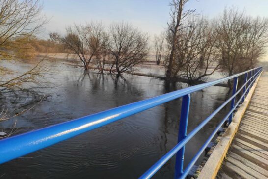 stan wody most Mistrzewice