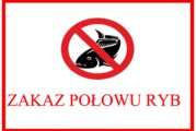 Zakaz połowu ryb w zbiorniku wodnym Gminy Młodzieszyn