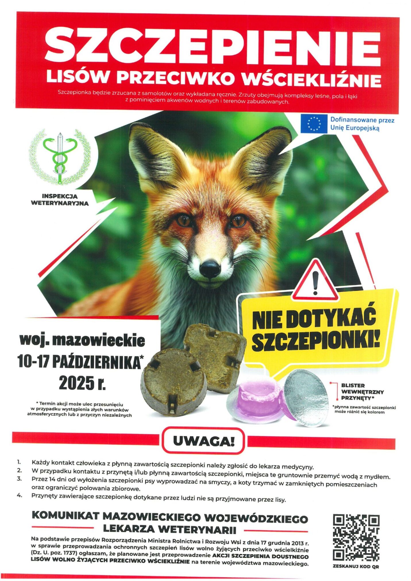 Szczepienie lisów przeciwko wściekliźnie