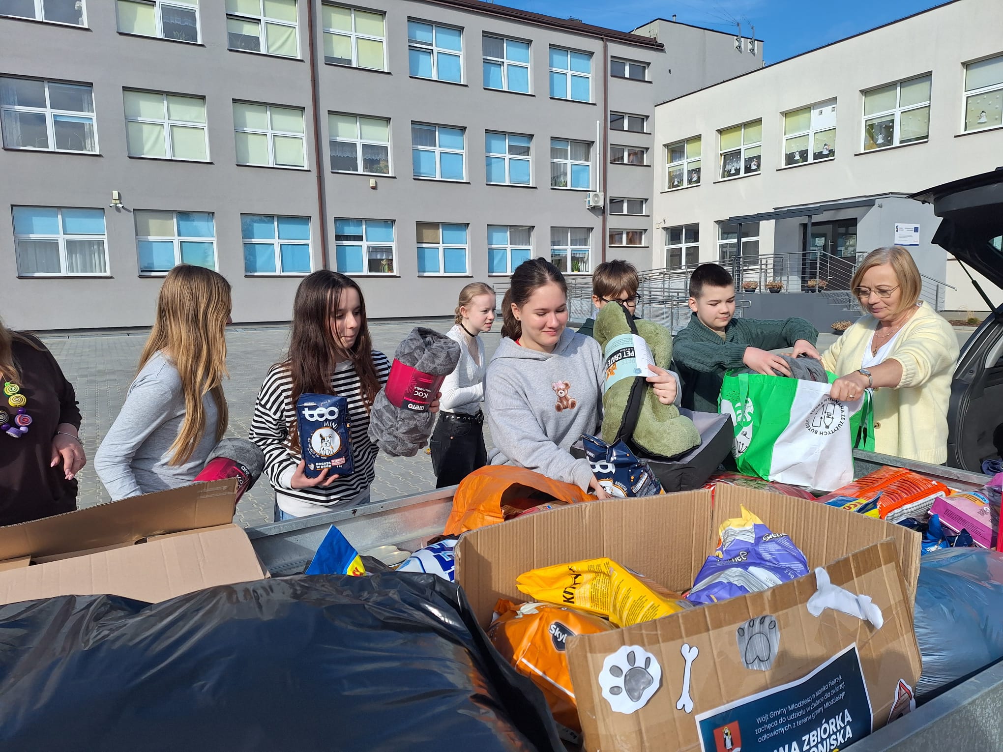 WhatsApp Image 2026-03-03 at 13.47.53(2)