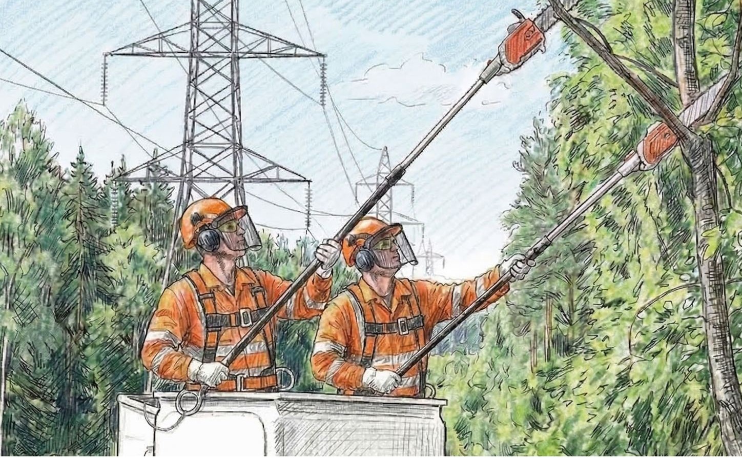 Kampania informacyjna dot. konieczności przycinania i usuwania drzew, krzewów oraz gałęzi