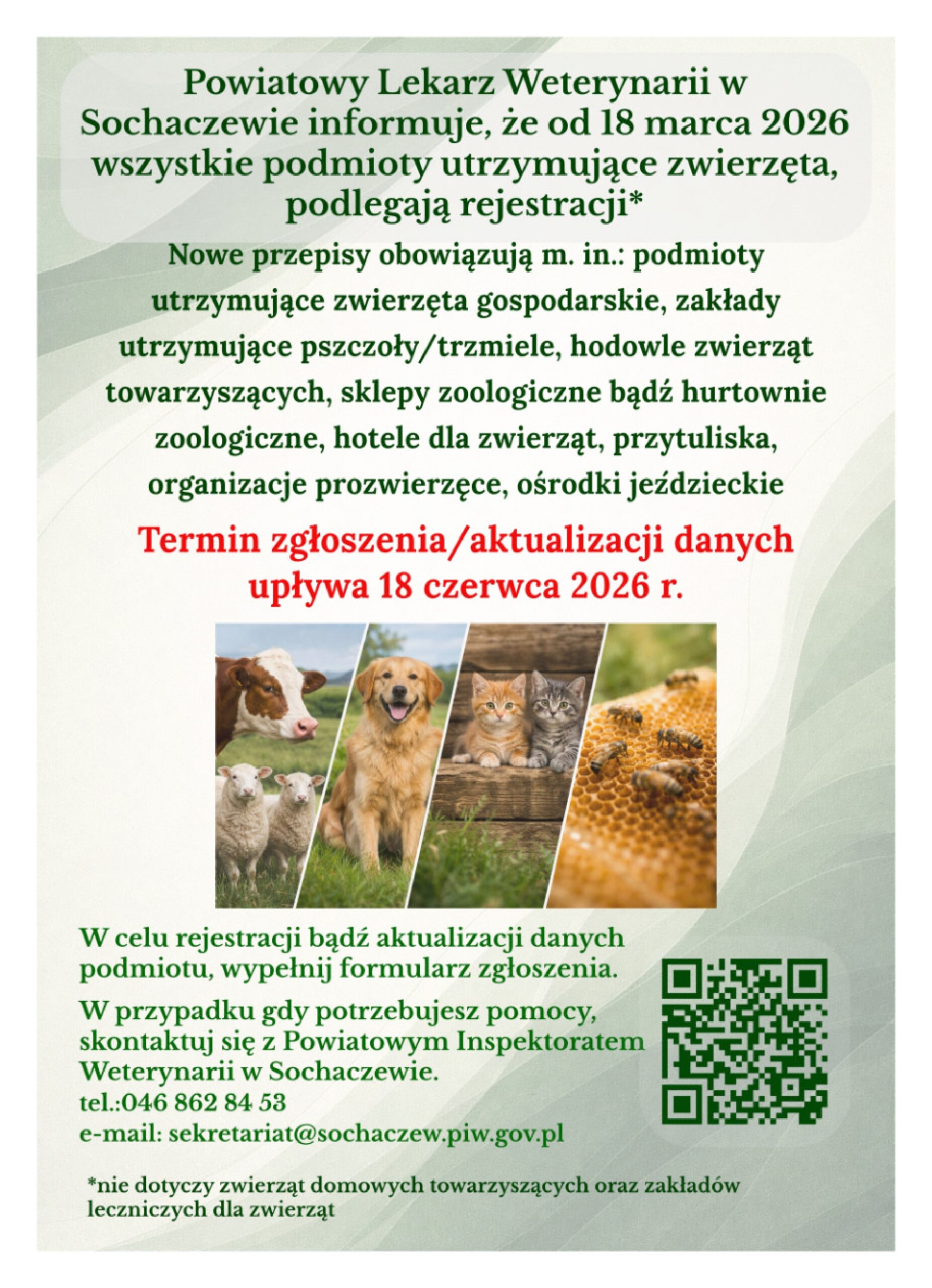 Nowe przepisy dotyczące rejestracji działalności związanej ze zwierzętami – ważna informacja
